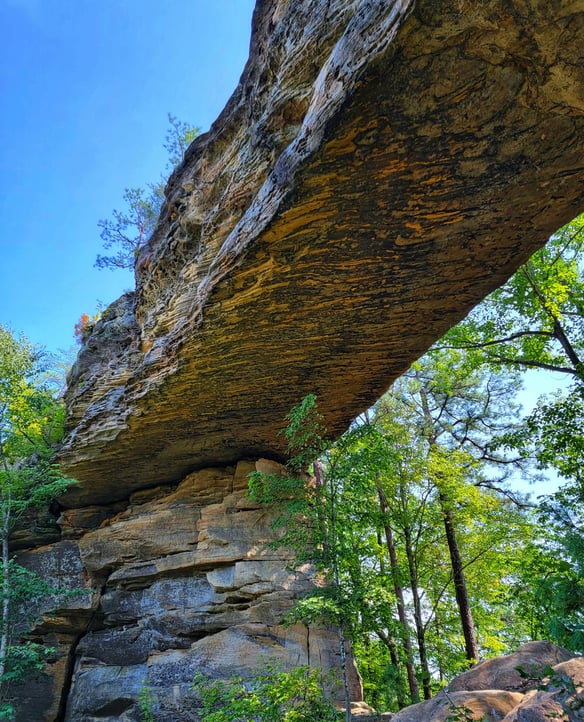 Nature First