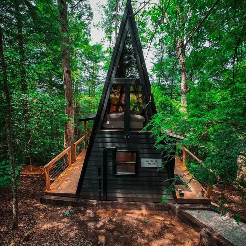 Wolf Pup- A Frame- TreeTop Tiny Cottage Wi-Fi
